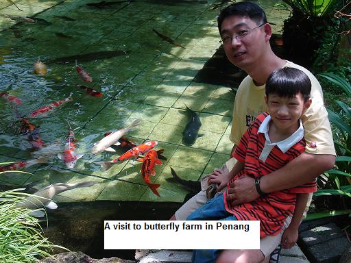 penang butterfly farm