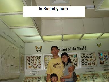 penang butterflies farm