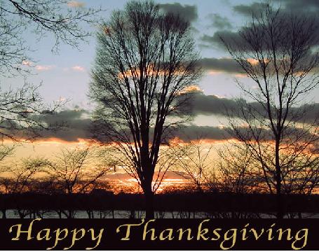happy thanks giving