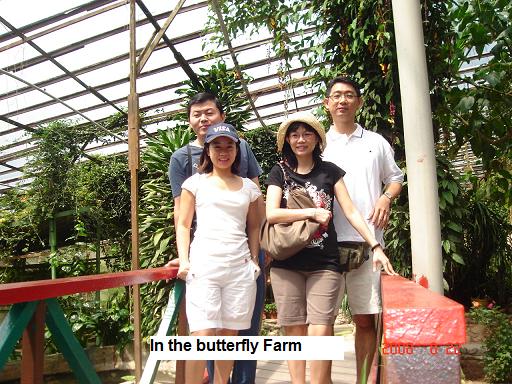 cameron highlands butterfly farm
