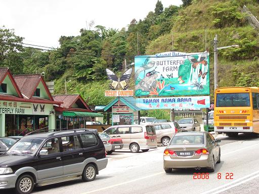 cameron butterfly farm